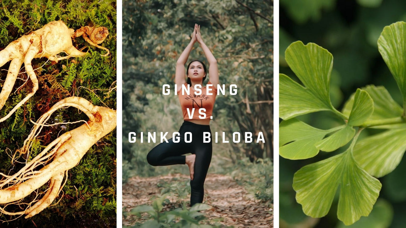 Ginseng vs. ginkgo biloba - wie unterscheiden sie sich